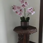La Casa Di Nonna Mimi * אבאדיה לריאנה