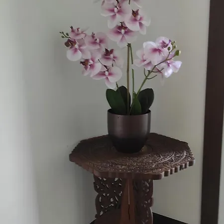 La Casa Di Nonna Mimì * Abbadia Lariana